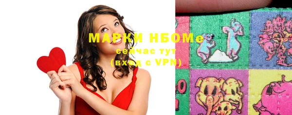 шишки Баксан