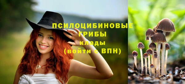 шишки Баксан