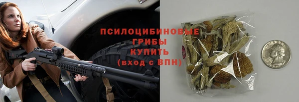 шишки Баксан