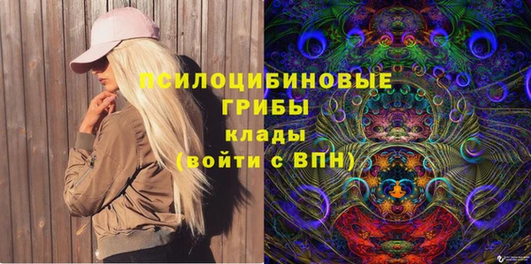 шишки Баксан