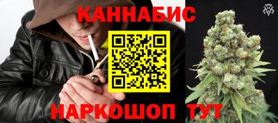 метадон Гай