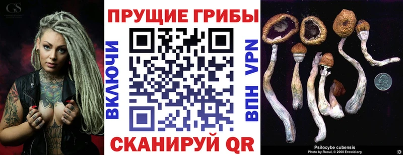 Галлюциногенные грибы ЛСД  Гудермес 
