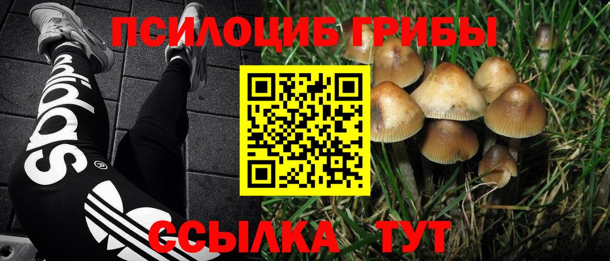 Галлюциногенные грибы прущие грибы  Вход с VPN  Гудермес 