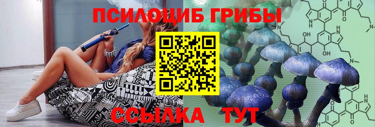 Галлюциногенные грибы прущие грибы Гудермес